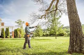 Best Grass Overseeding  in Deerfield Beach, FL