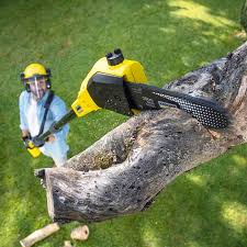 Best Artificial Turf Installation  in Deerfield Beach, FL